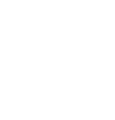 Spring Wells Consolidated logo